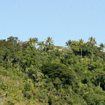 Alessandra Dias in 'On The Go'