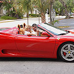 Brianna Beach in 'Fast Cars Easy Pussy'