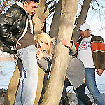 Cindy Love in 'Friendly Get Together'