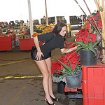 Josi Valentine in 'Easy Does It'