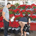 Josi Valentine in 'Easy Does It'