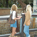 Jules in 'Animal Attraction'