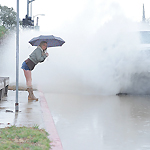 Lynn Pleasant in 'Pleasant Pussy'