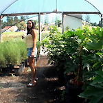 Rose Sin in 'Delicious Sin'