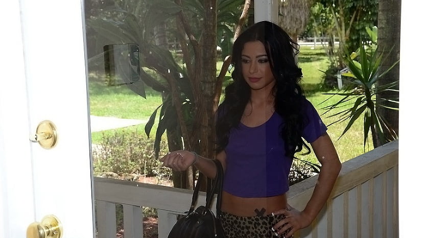 Pussy perfection