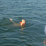 Bree in 'Subtle Seductress'