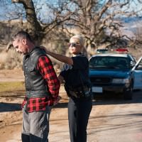 Bridgette B in 'To Serve And Protect'