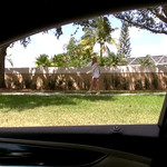 Coco Blue in 'Coco Nut'