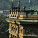 Dianna in 'Tail Party'