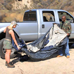 Emma Heart in 'Sweet Puss'