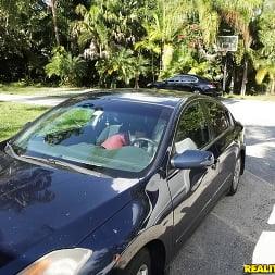 Pussy passenger