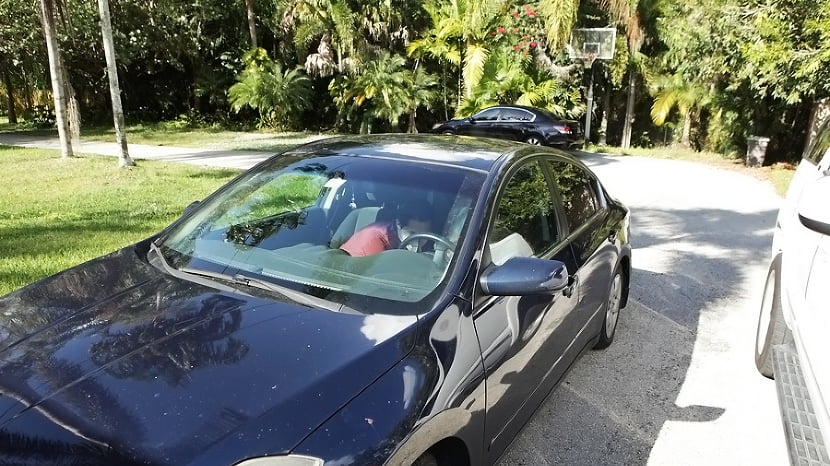 Pussy passenger