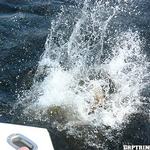 Kira in 'Screwdiver'