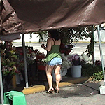 Scarlet Maze in 'Deflower Me'