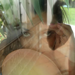 Scarlett Sawyer in 'Up And Cumming'