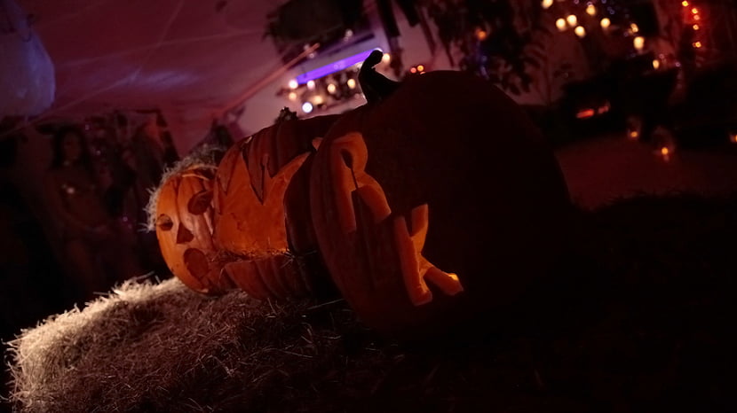 Happy halloween